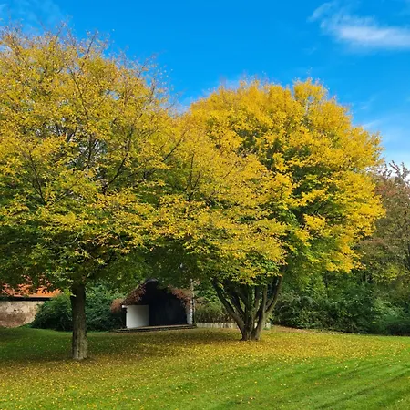 Grosse In Einzigartigem Historischen Gebaeude * Hardegsen
