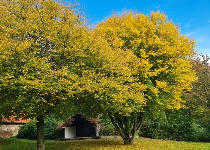 Grosse In Einzigartigem Historischen Gebaeude * Hardegsen